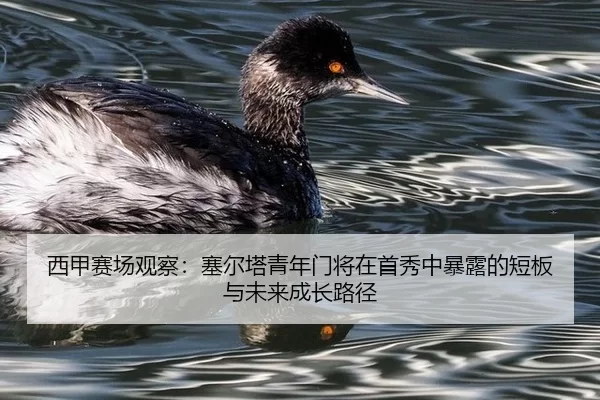 西甲赛场观察：塞尔塔青年门将在首秀中暴露的短板与未来成长路径（Baowei Sports）